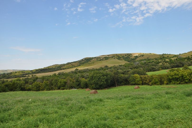 Dsc 0677 (2560x1700)