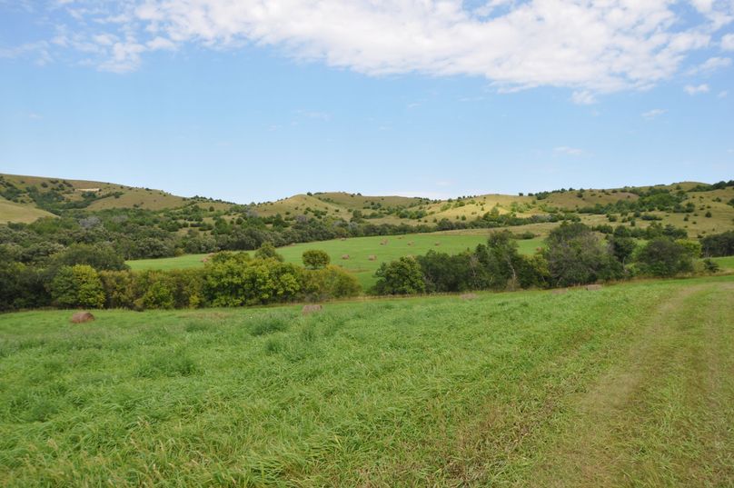 Dsc 0679 (2560x1700)