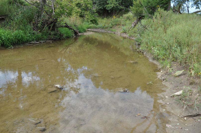 Dsc 0673 (2560x1700)