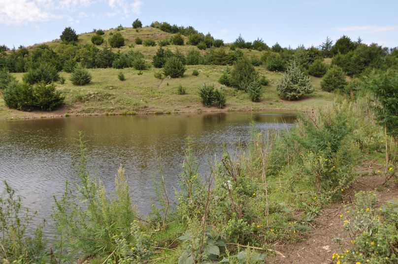 Dsc 0684 (2560x1700)