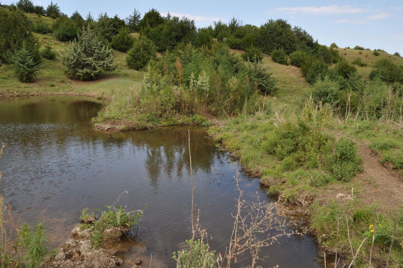 Dsc 0686 (2560x1700)