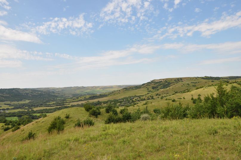 Dsc 0687 (2560x1700)