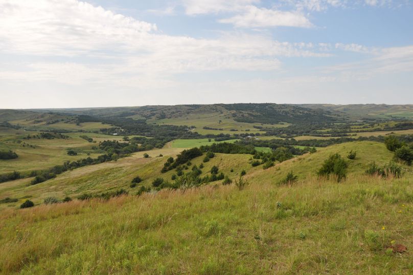 Dsc 0688 (2560x1700)