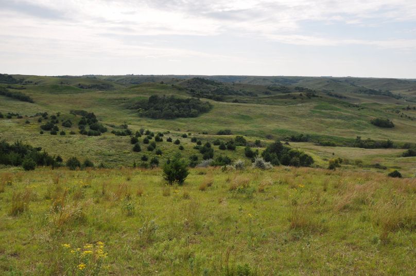 Dsc 0689 (2560x1700)