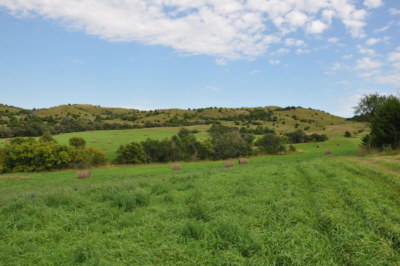 Dsc 0680 (2560x1700)