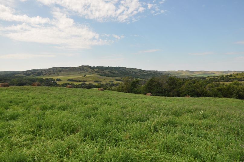 Dsc 0681 (2560x1700)