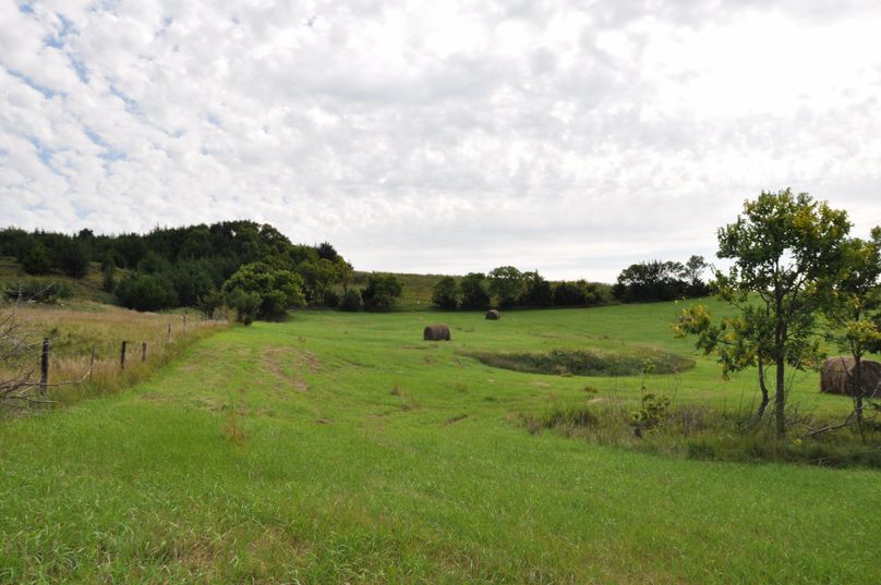 Dsc 0682 (2560x1700)