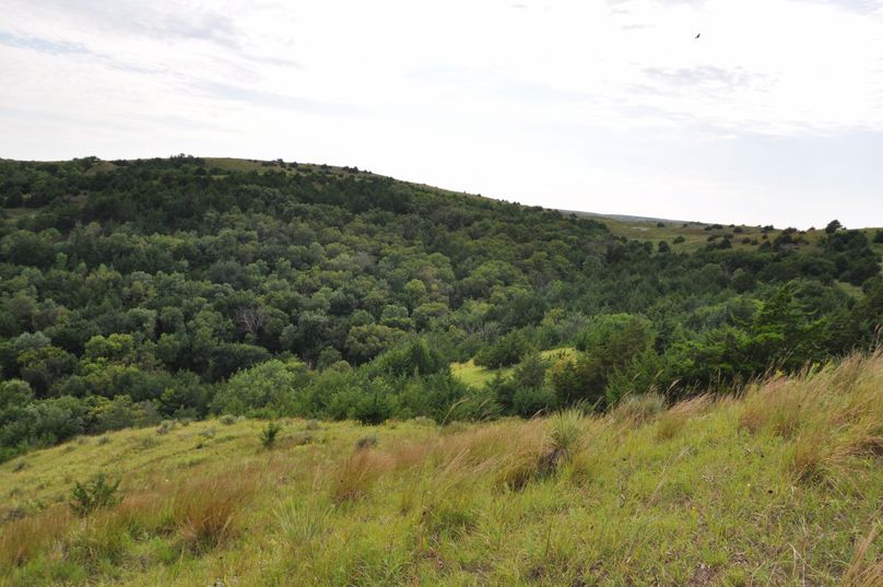 Dsc 0695 (2560x1700)