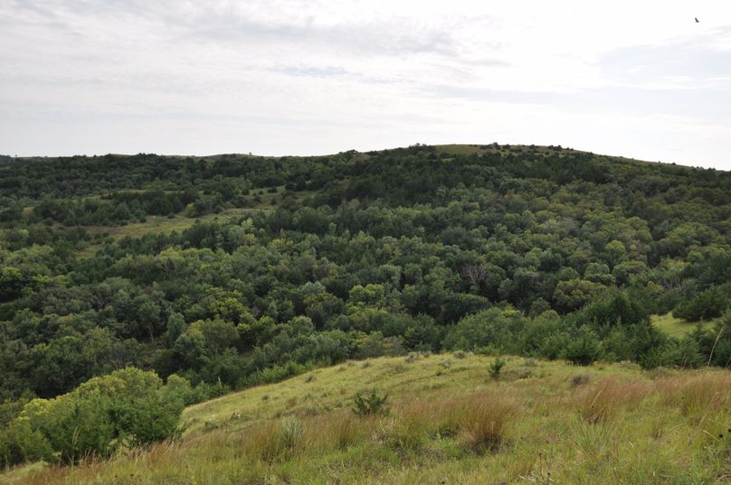 Dsc 0696 (2560x1700)