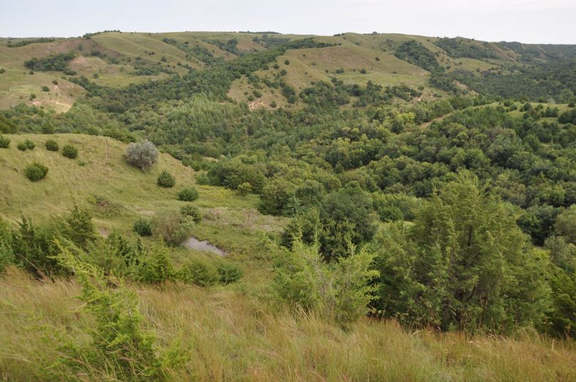 Dsc 0697 (2560x1700)