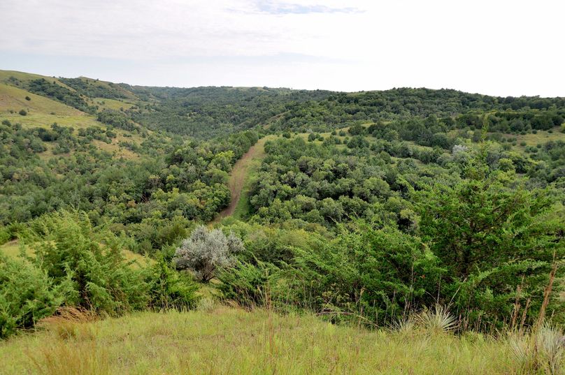 Dsc 0699 (2560x1700)