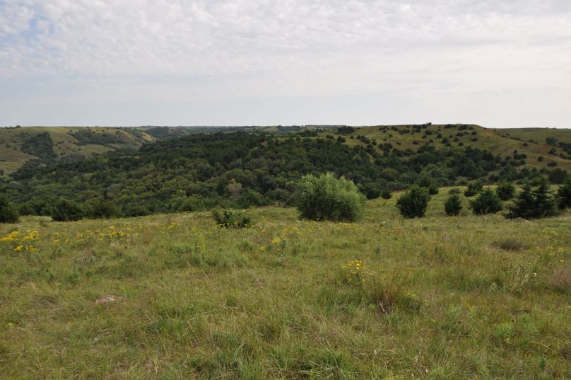 Dsc 0690 (2560x1700)