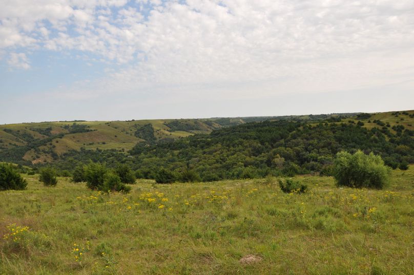 Dsc 0691 (2560x1700)