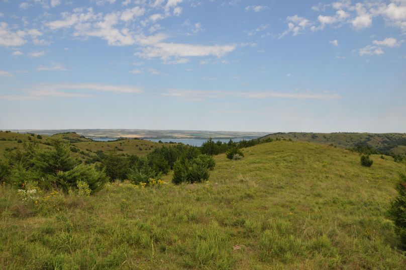 Dsc 0693 (2560x1700)