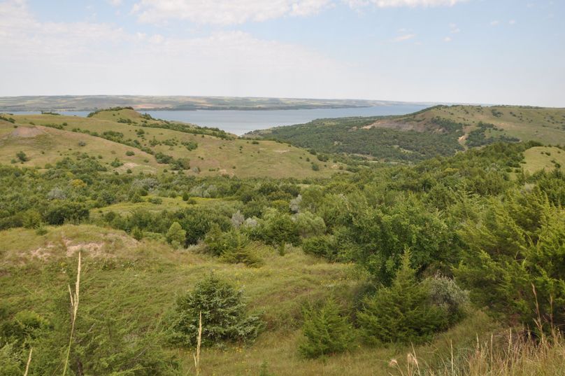 Dsc 0702 (2560x1700)