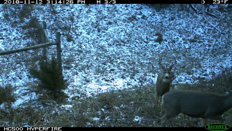 Img 0663 (1920x1080) (1280x720)