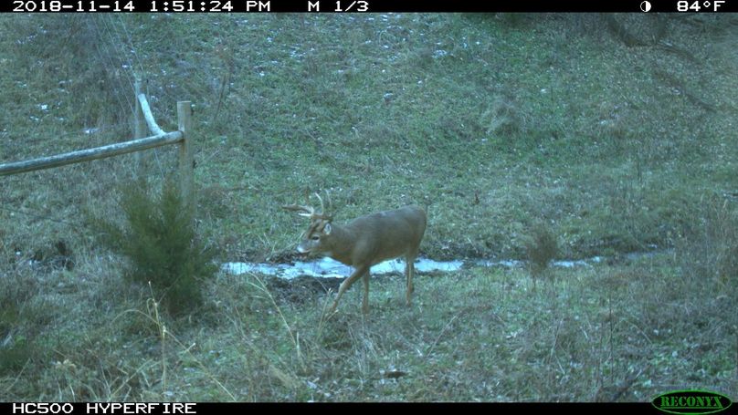 Img 0772 (1920x1080) (1280x720)