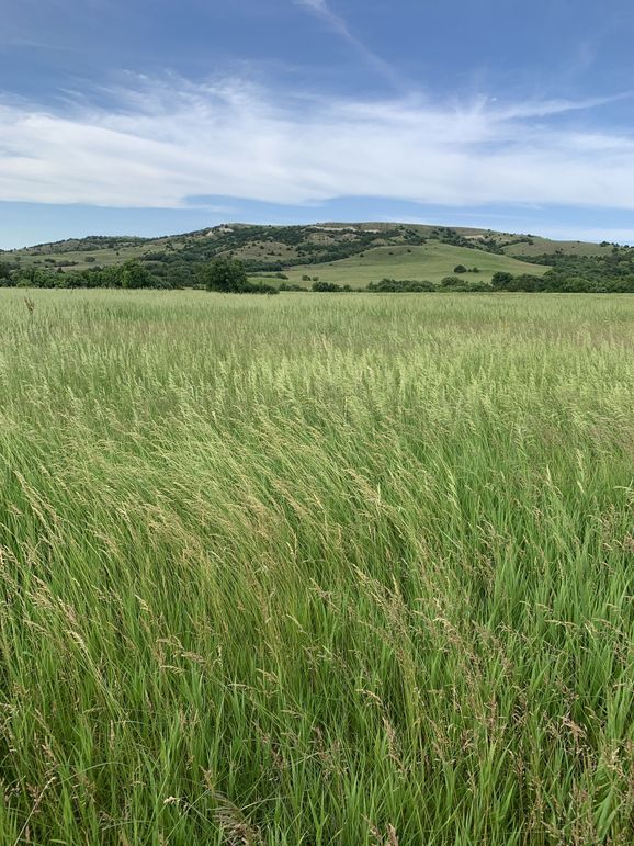 Img 1044 (1920x2560)