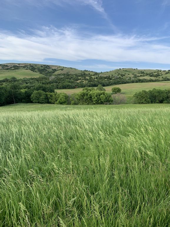 Img 1051 (1920x2560)