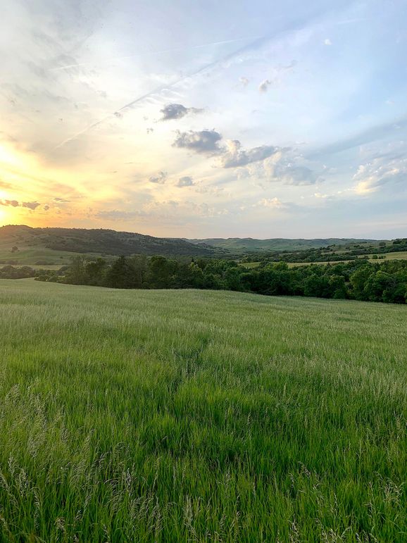 Img 1068 (1920x2560)