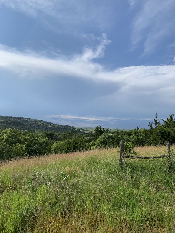 Img 1136 (1920x2560)