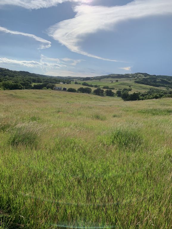 Img 1138 (1920x2560)