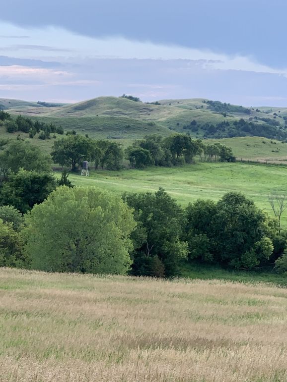 Img 1264 (1920x2560)