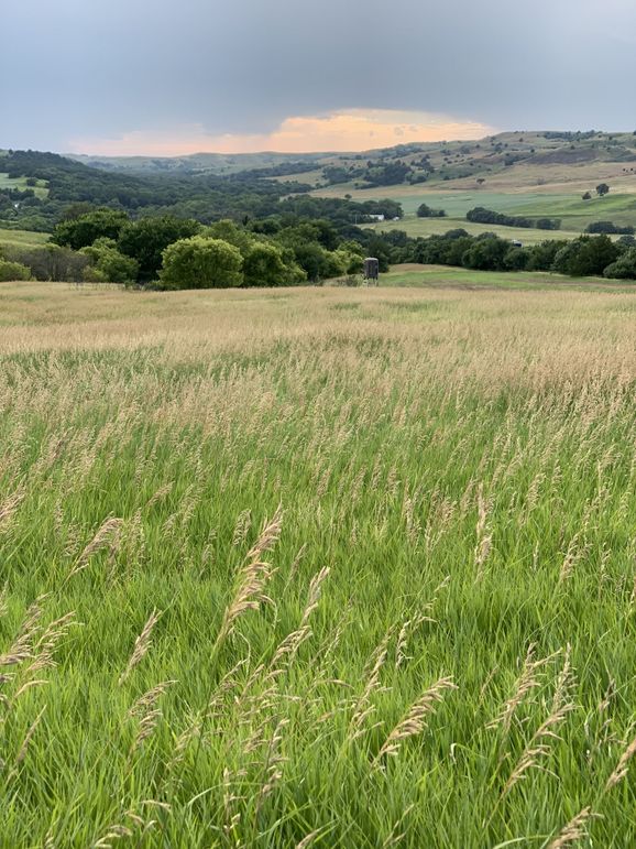 Img 1261 (1920x2560)