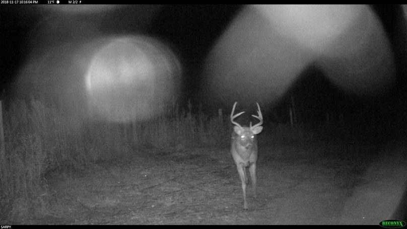 Rcnx0041 (2560x1440) - copy (1280x720)