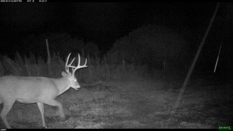 Rcnx0052 (2560x1440) - copy (1280x720)