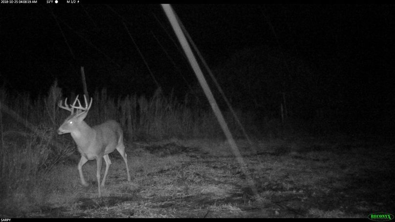 Rcnx0022 (2560x1440) (1280x720)