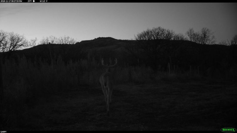 Rcnx0037 (2560x1440) (1280x720)