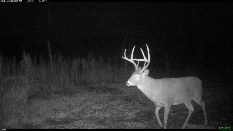 Rcnx0499 (2560x1440) (1280x720)