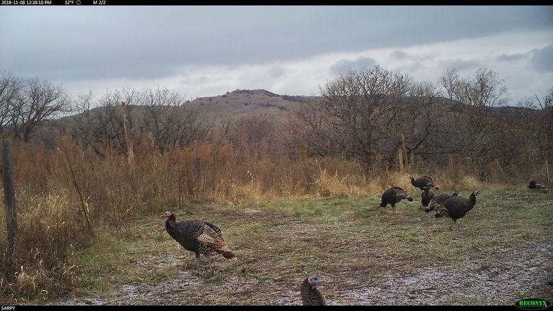 Rcnx0551 (2560x1440) (1280x720)