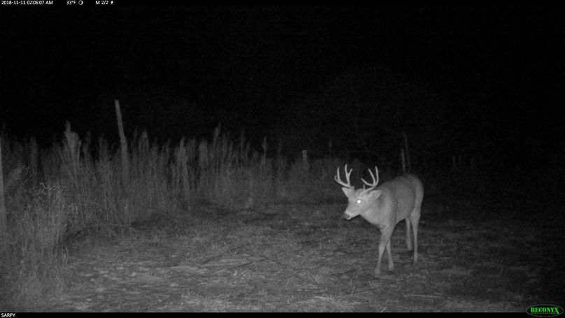 Rcnx0623 (2560x1440) (1280x720)