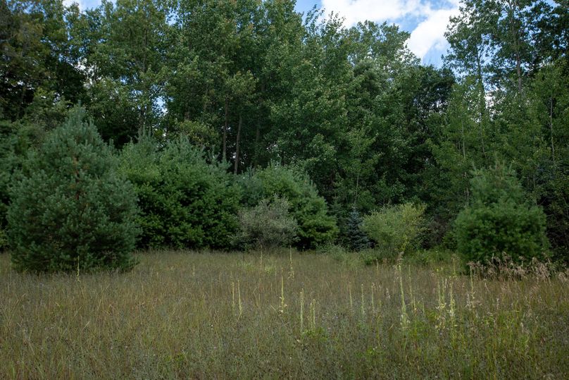 8 open areas could become food plots