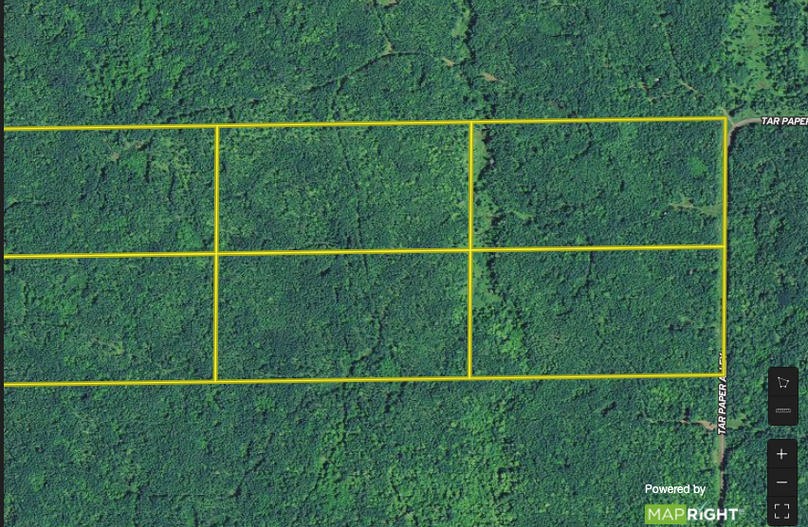 Screen shot 2020-04-12 at 5.28.16 pm