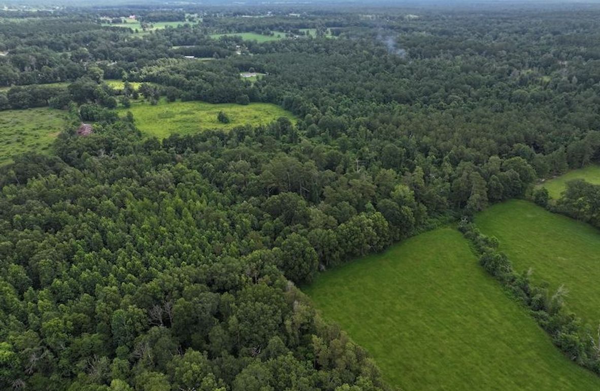 dji_fly_20250624_092640_0115_1750950823701_photo