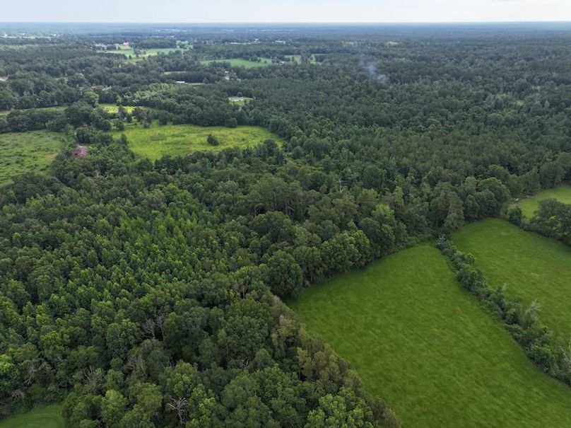 dji_fly_20250624_092640_0115_1750950823701_photo