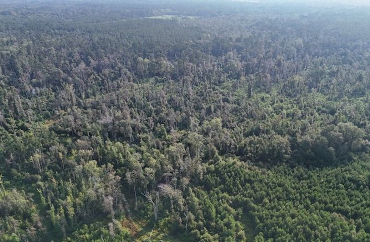 dji_fly_20250903_215820_0016_1756926958508_photo