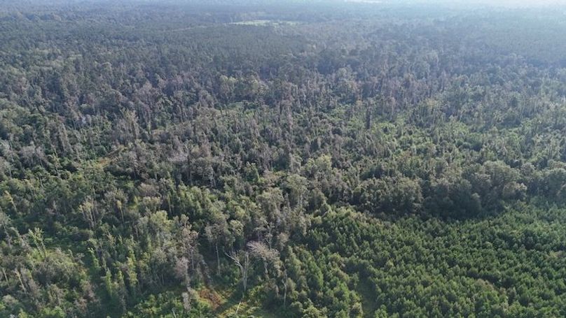 dji_fly_20250903_215820_0016_1756926958508_photo