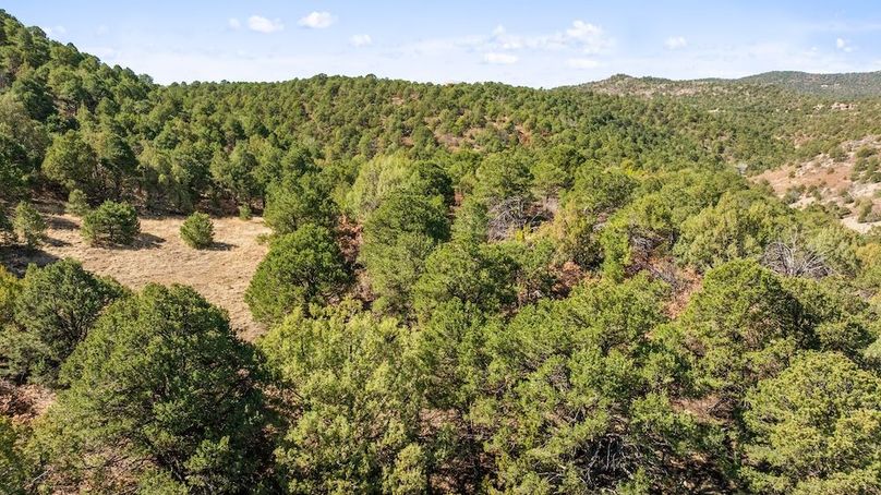 DJI_20260326121042_0444_D_1