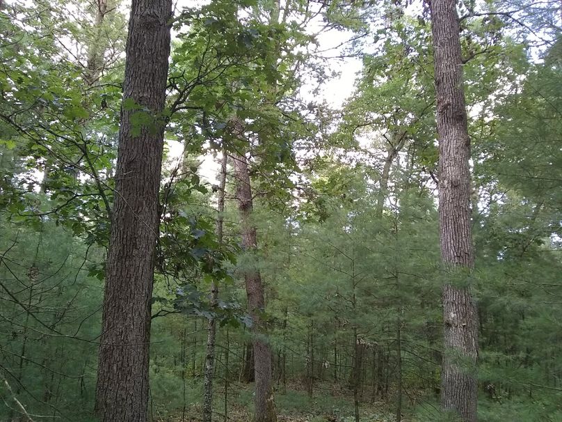 SW1nIDIwMTkwOTAyIDE3NDU0MDc5NA==