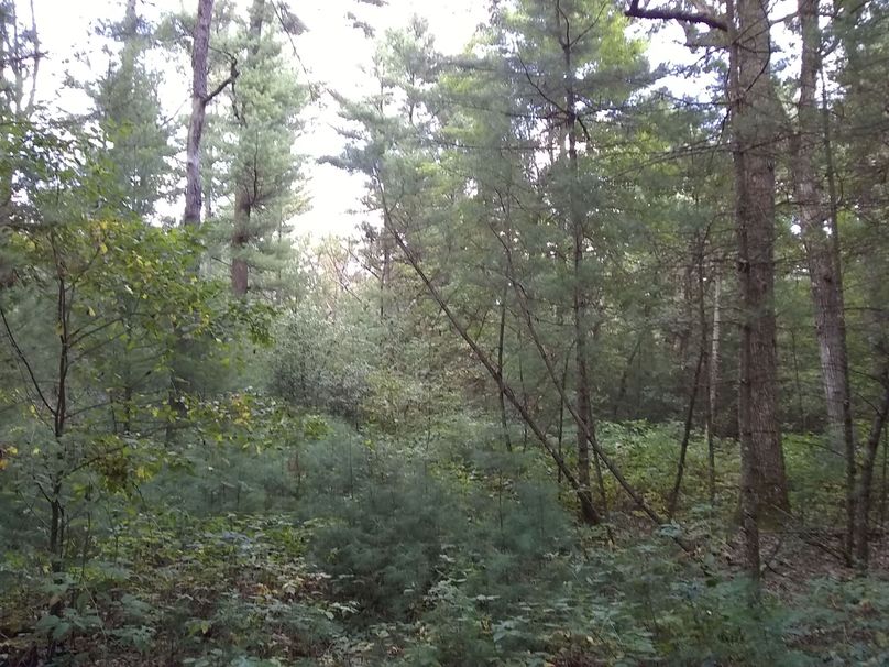 SW1nIDIwMTkwOTAyIDE3NDYyMzI3NQ==