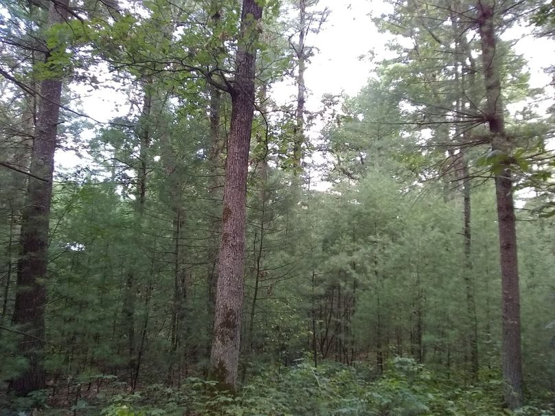 SW1nIDIwMTkwOTAyIDE3NDYzNzg5NA==