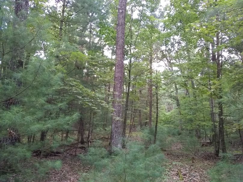 SW1nIDIwMTkwOTAyIDE3NTQyODM2OQ==