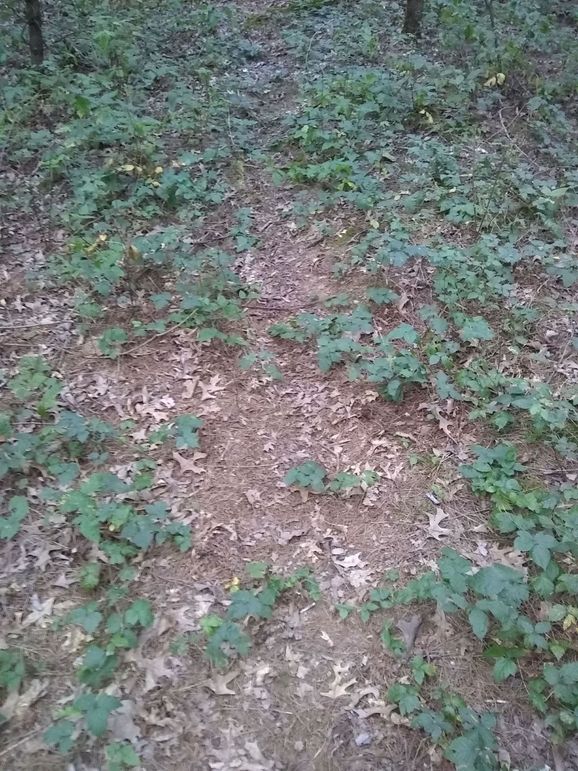 SW1nIDIwMTkwOTAyIDE3NTYyMDg5OA==