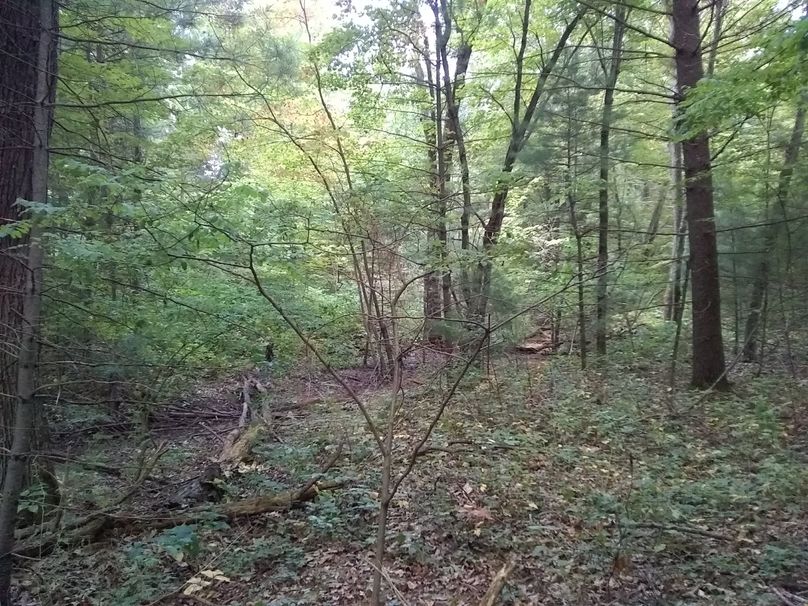 SW1nIDIwMTkwOTAyIDE3NTk0MjE3Ng==