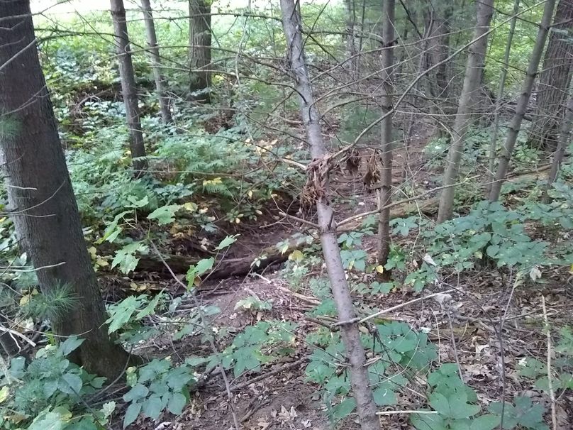 SW1nIDIwMTkwOTAyIDE3NTk1ODM1Mg==