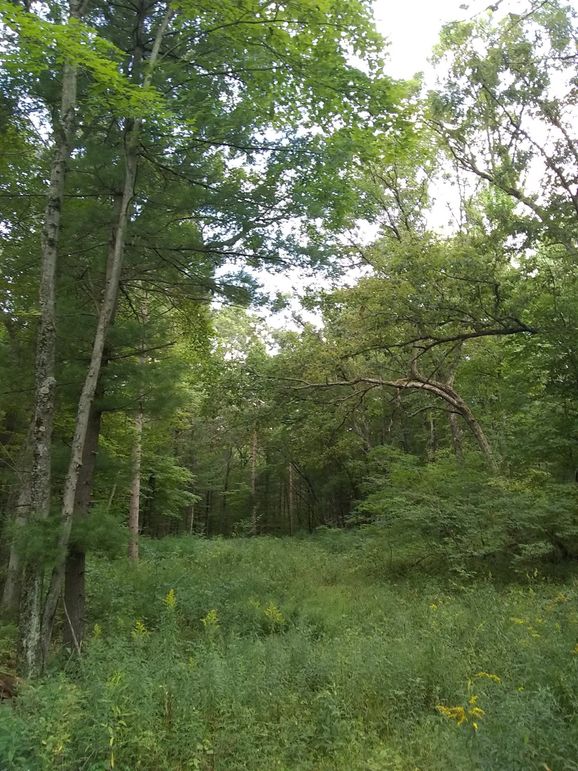 SW1nIDIwMTkwOTAyIDE3NTA1MzIxNA==